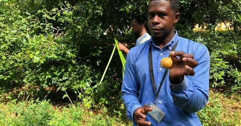 Tagesausflug nach Sansibar ab Dar es Salaam: Gewürzfarm